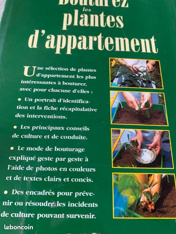 Bouturez les plantes d’appartement (image 2)