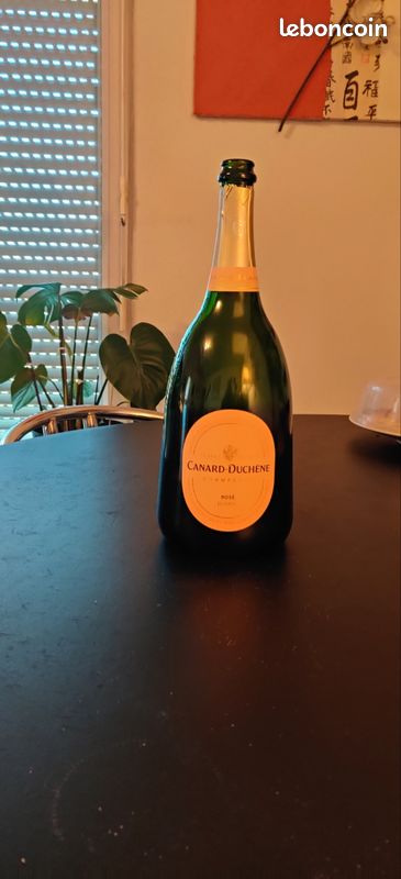 Bouteille magnum de champagne vide (image 1)