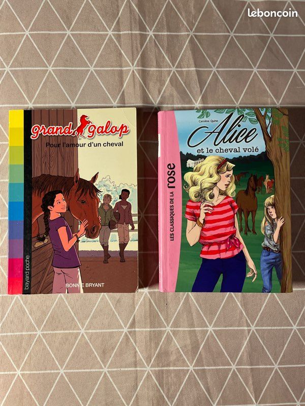 Livres collection Grand galop Nº2 et Alice et le cheval volé (image 1)