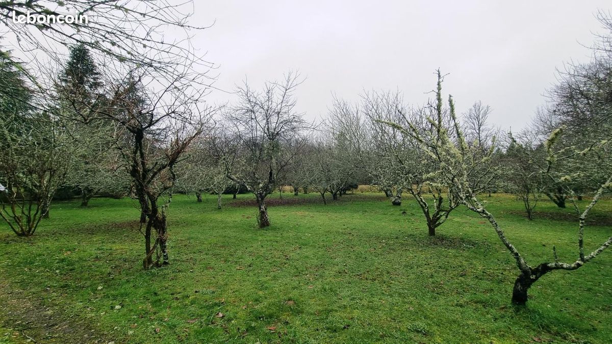 Longère 7 pièces 176 m² (image 20)