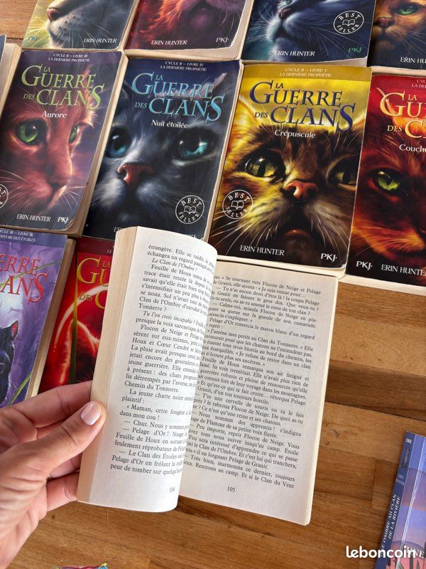 17 Livres LA GUERRE DES CLANS - cycle 1,2,3 + 2 livres hors série (image 3)
