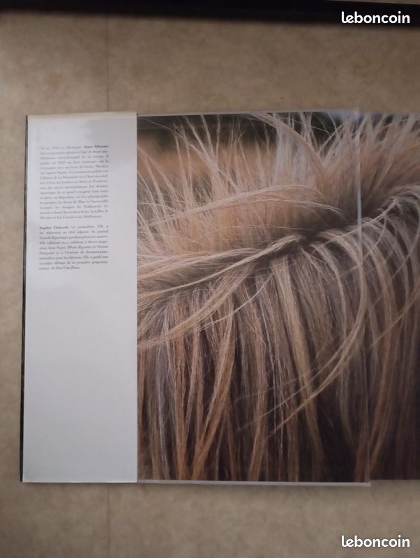 Chevaux de Camargue par Hans Silvester textes de Sophie Delavoie (image 2)