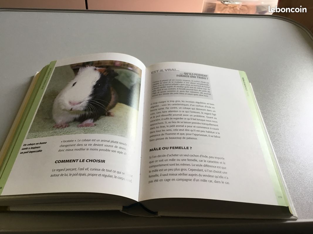 Mon Animal de Compagnie (image 6)