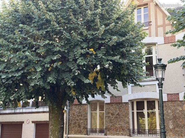 Maison 10 pièces 200 m² · à Orléans · 200 m² · 525 000 €