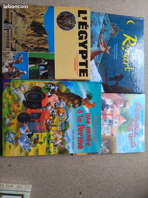 Divers livres tout public (image 5)
