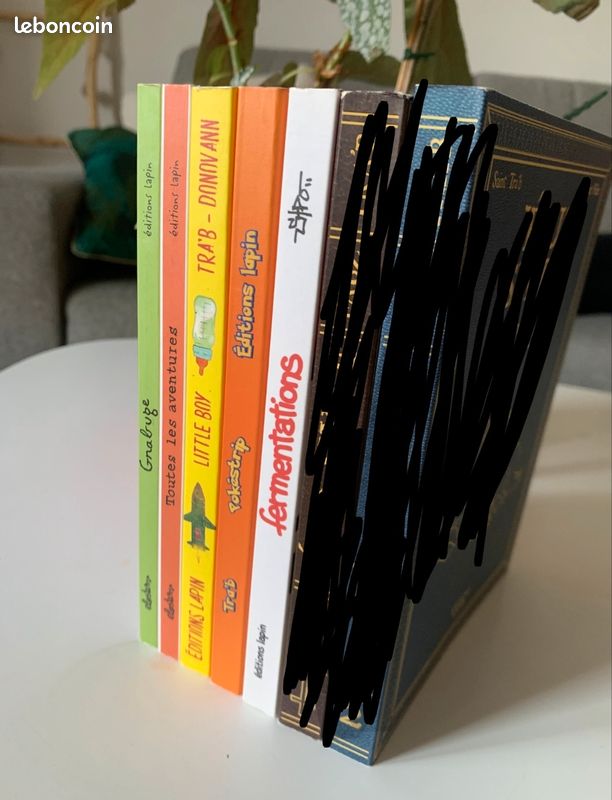 Lot 5 livres éditions Lapin (image 1)