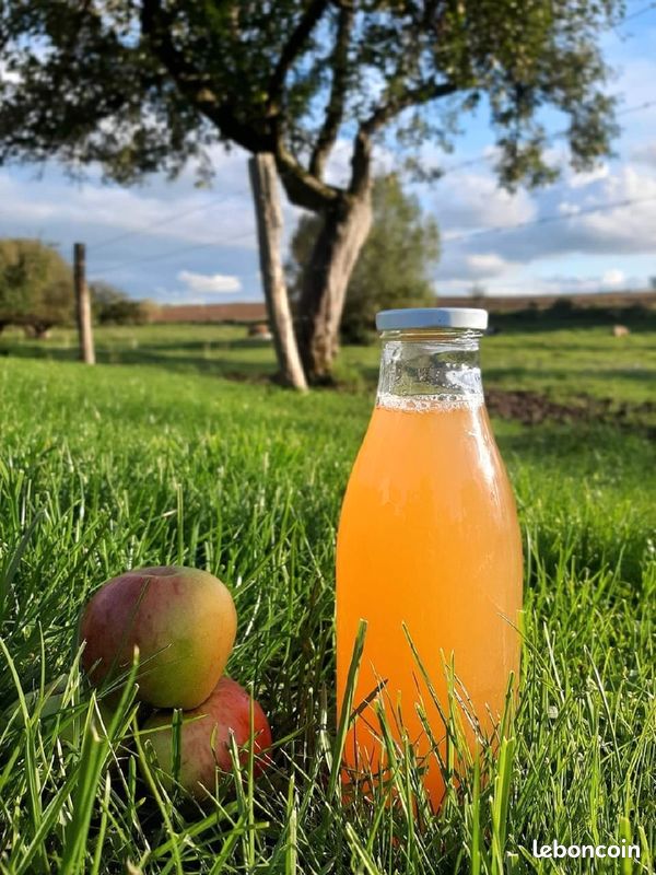 Jus de pommes bio (image 1)