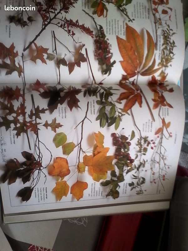 Livre de creation de bouquet de fleurs (image 3)