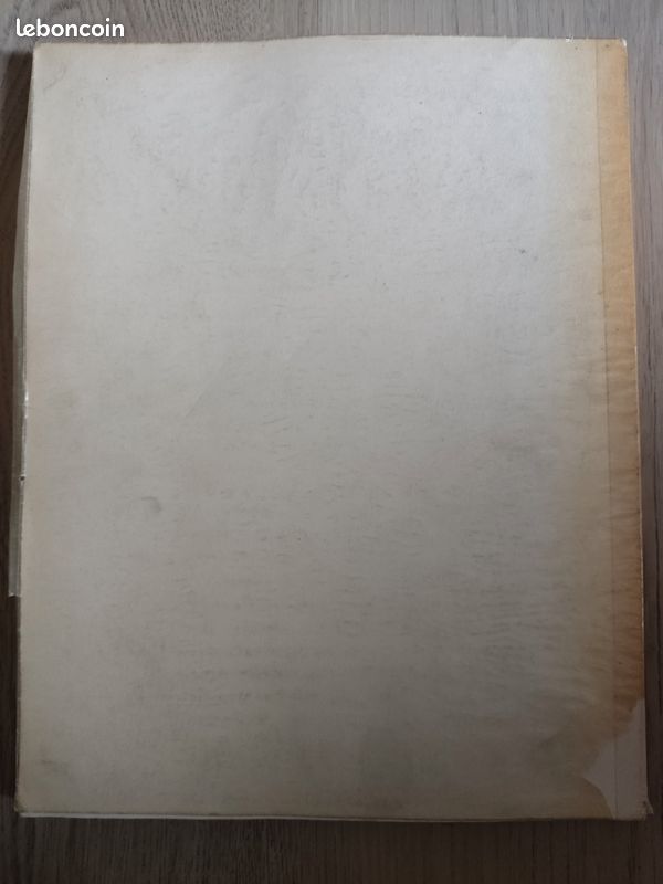 The skull (image 2)