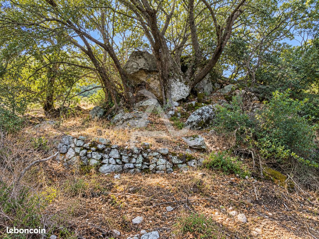 Terrain 18830 m² Porto-Vecchio (image 6)