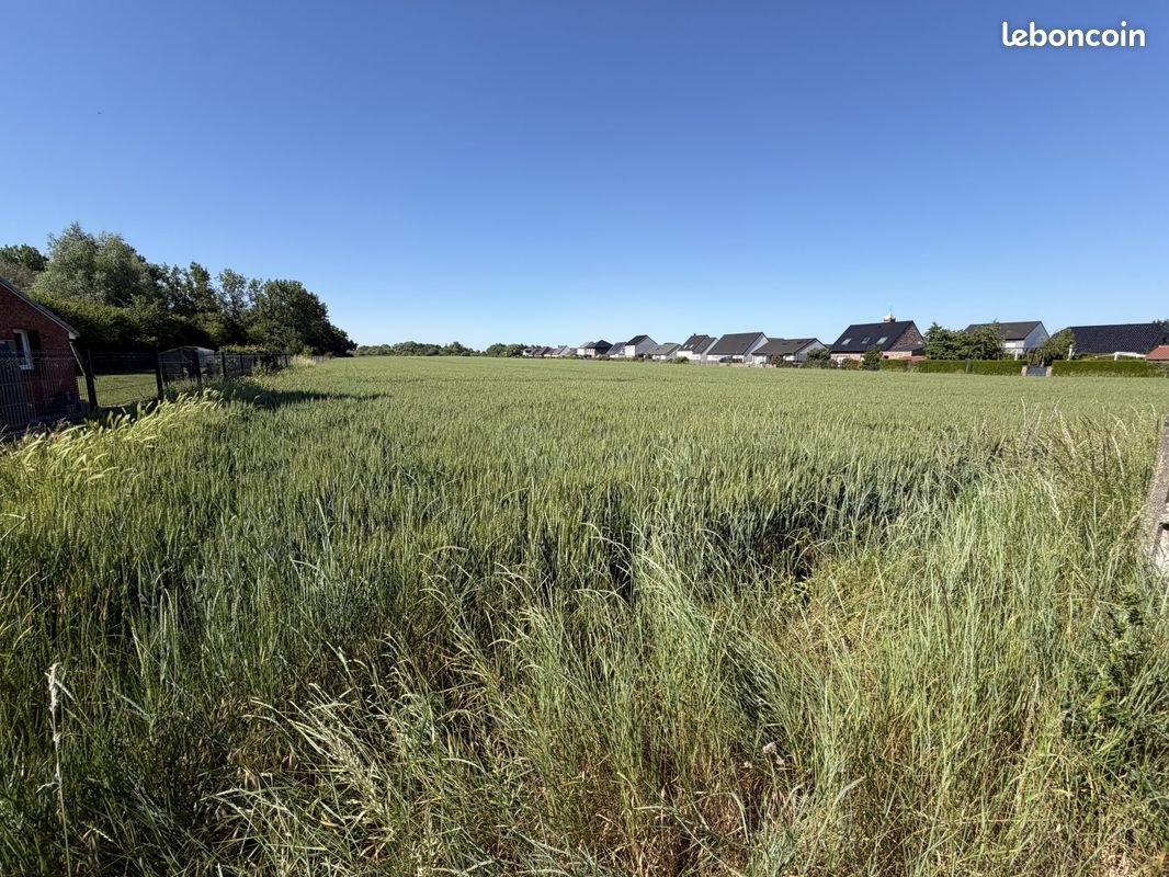Terrain 901 m² Merville (image 4)