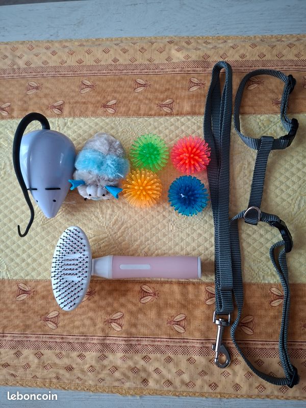 Accessoires + jouets pour chat (image 1)