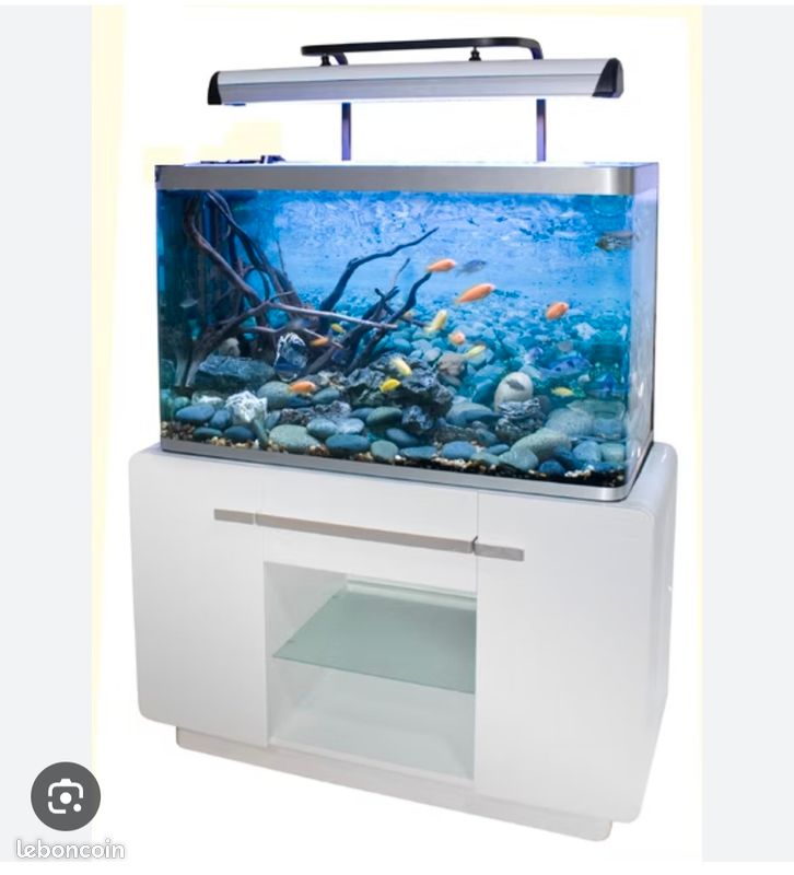 Aquarium osaka 320 (image 2)