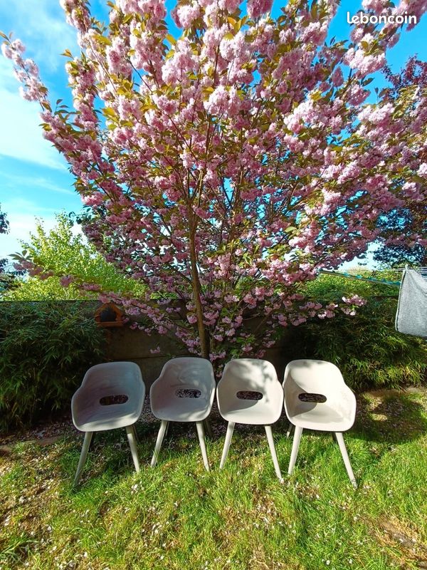 Chaises de jardin (image 1)