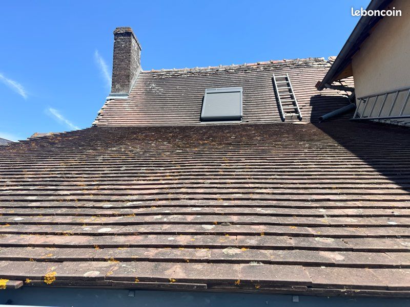 🏠 Lot d’environ 8000 Tuiles plates (image 3)