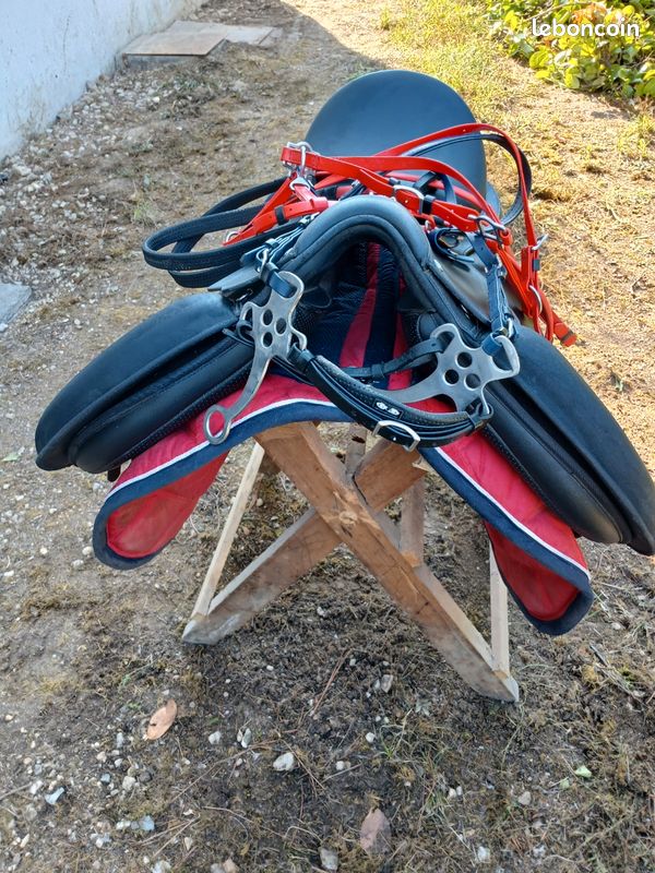 Selle de cheval wintec (image 2)