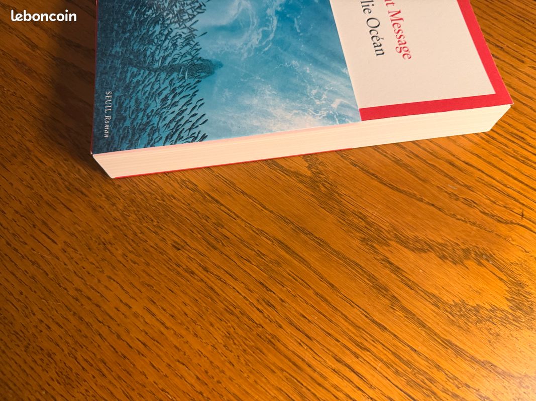 Livre | La Folie Océan – Vincent Message (image 5)