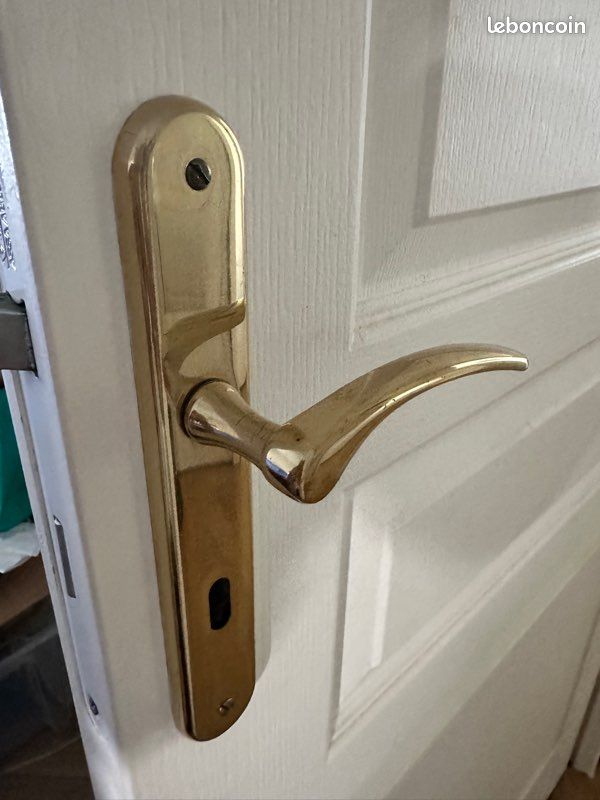 Poignées de Porte Dorée Inox (image 6)