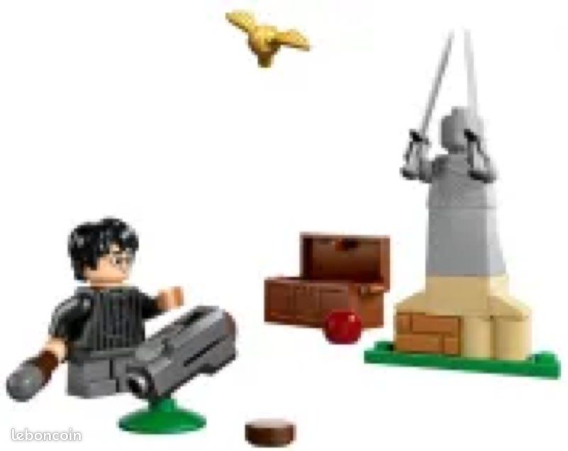 30706 - leçon de Quidditch (image 2)