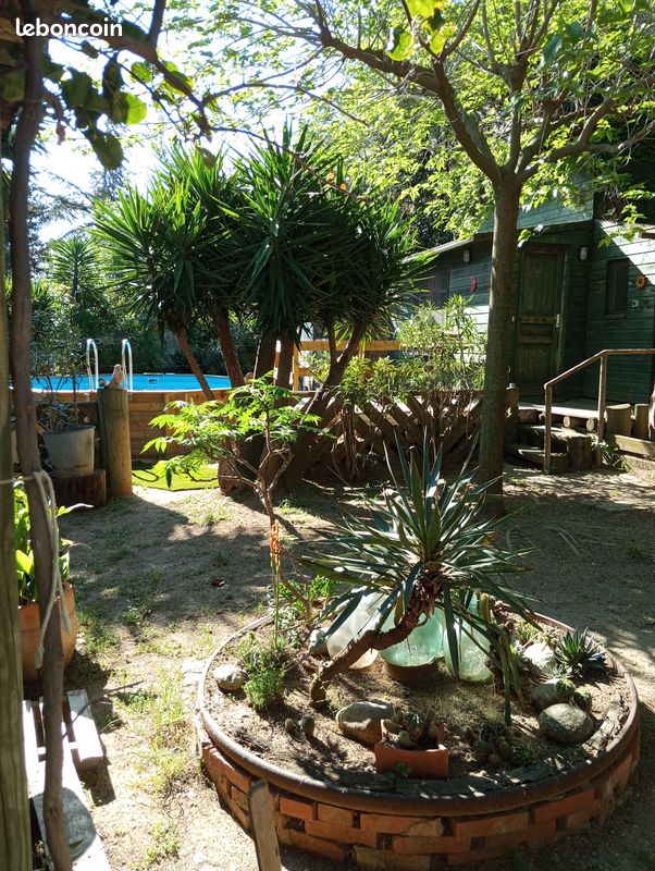 Chalet bois (image 3)