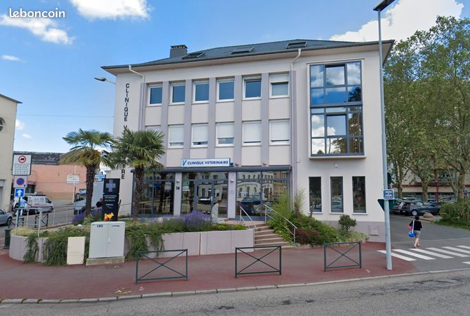 Locaux commerciaux et appartement – Emplacement idéal à Sarreguemines