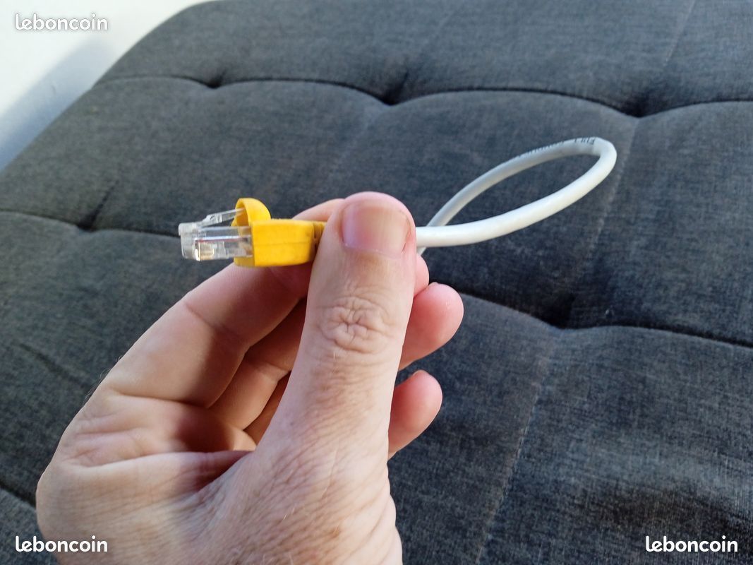 Câble Ethernet (image 1)