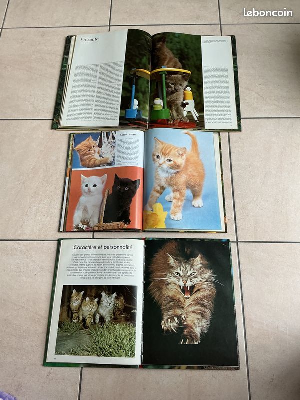 Lot 3 livres photos chats et chatons (image 5)