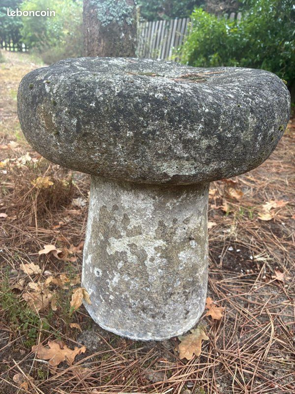 Champignon en pierre vintage décoration jar (image 1)