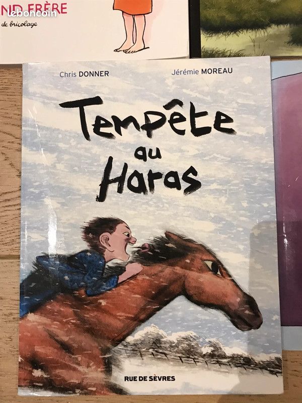NB92-Lot de 5 livres « École des Max » (image 5)