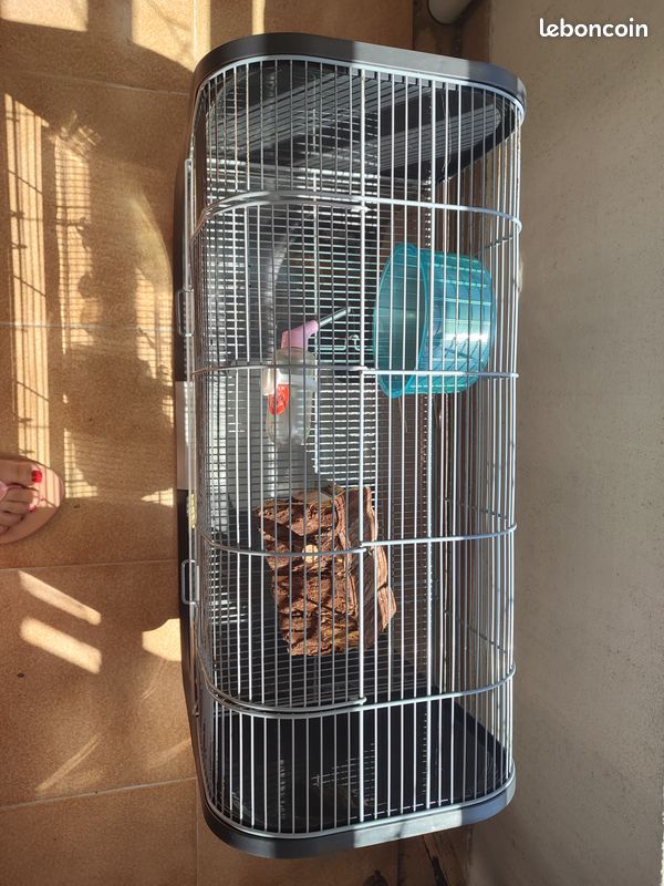 Cage hamster (image 2)