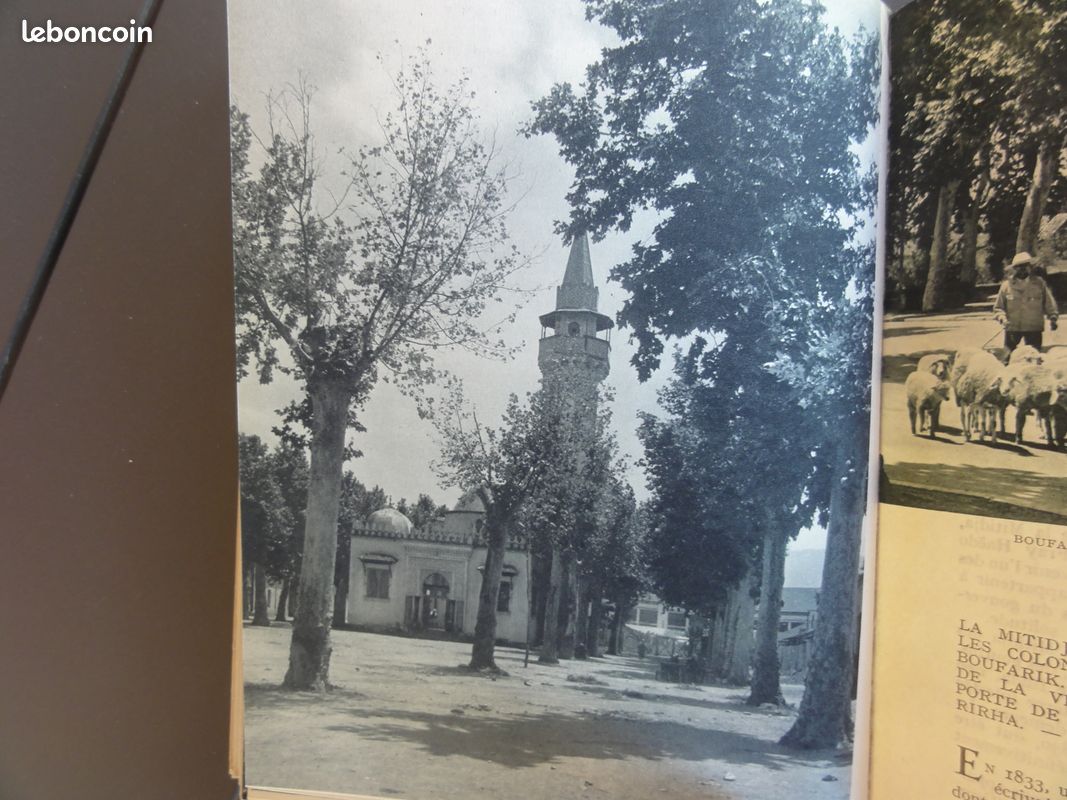 ALGERIE / Esquer / ARTHAUD (image 8)