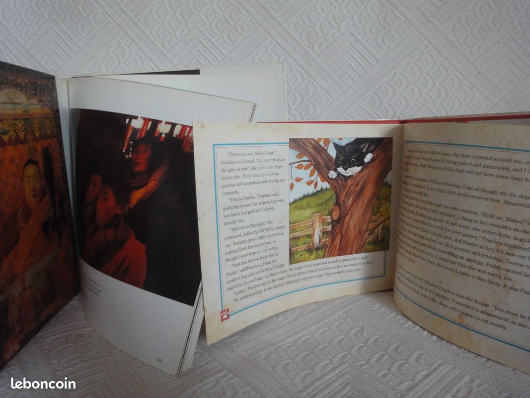 Livres en anglais NEUFS (image 5)