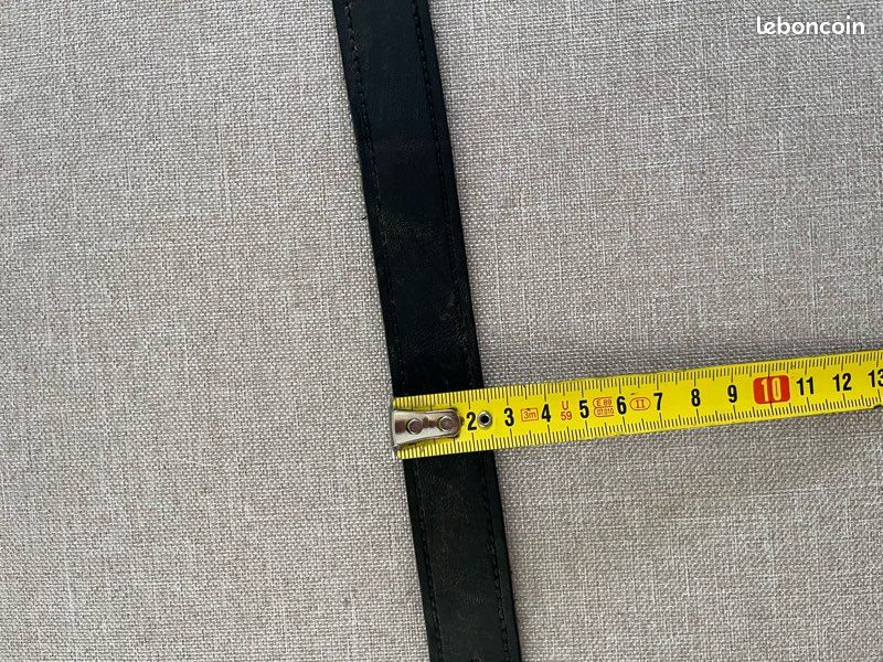 Collier pour chien đ¶ (image 2)