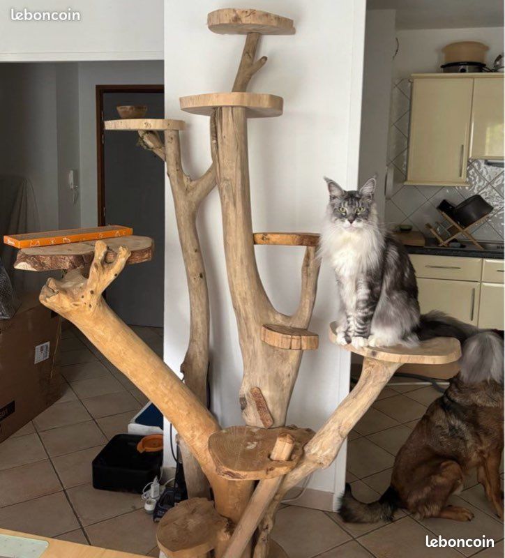 Broche Chat En Bois - Création Rêve De Bohème - Neuf Avec étiquettes - Bijou Fantaisie