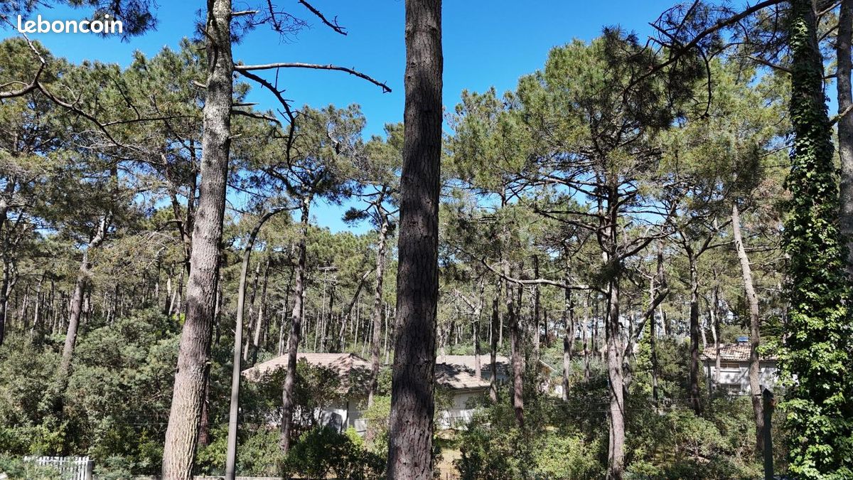 Terrain 750 m² Lacanau · 360 000 €