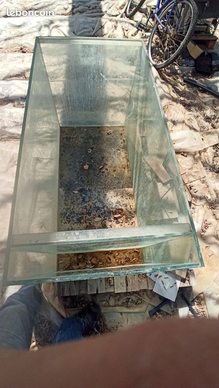 Aquarium 100 x 50 x 60 de haut (image 1)