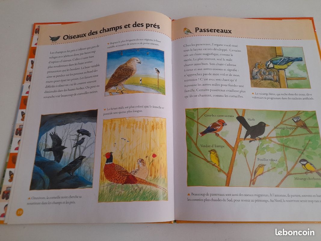 Livre pour enfants (image 4)