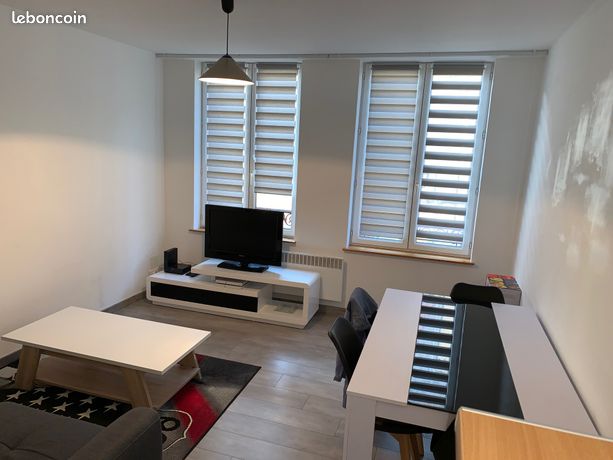 T2 lumineux sécurisé isolé gd confort centre ville