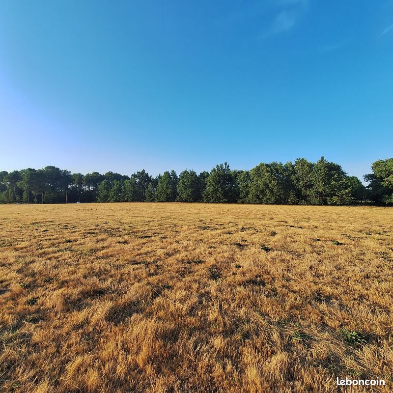Terrain 13502 m² · à Créon · 13 502 m² · 160 000 €