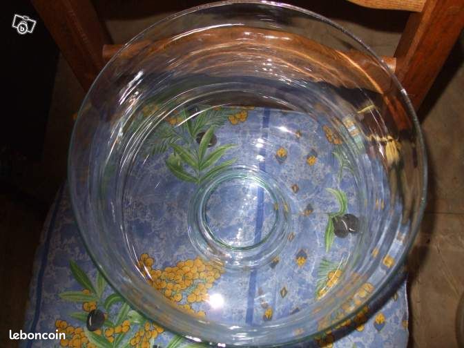 Aquarium neptune en verre (image 3)