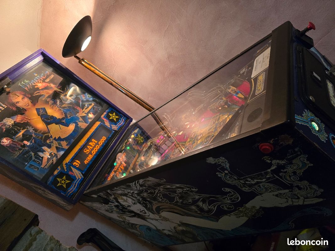 Flipper Pinball Magic de Collection