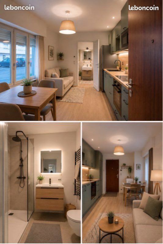 Appartement 1 pièce 18 m² · à Roanne · 18 m² · 350 €/mois