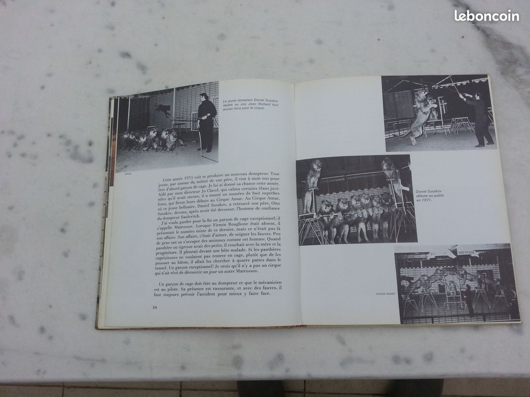 Envoyez les lions Ou le métier de dompteur (image 11)