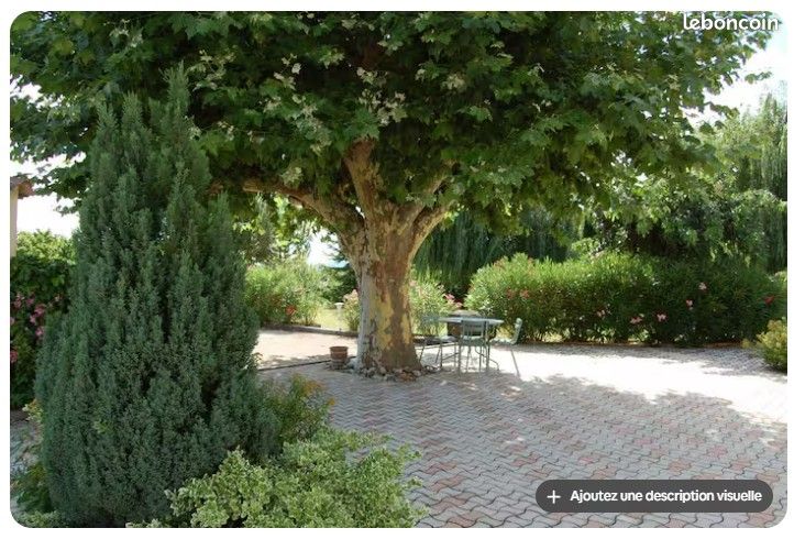 Appartement - Mas d'andran : 2 ch / piscine / pétanque - Drôme Provençale (image 10)