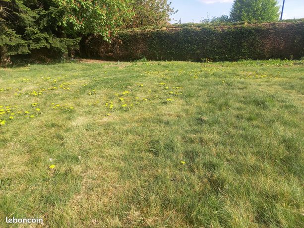 Terrain 601m2