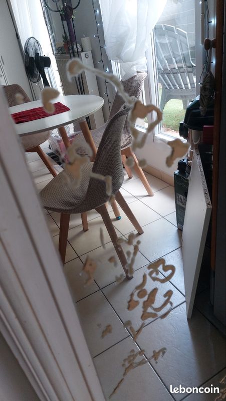 Miroir (image 2)