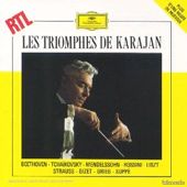 Les Triomphes De Karajan Orchestre philharmonique de Berlin, Herbert von Karajan, Schwalbe Michel, C (image 1)