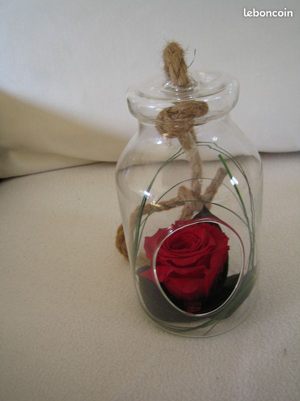 Rose lyophilisée (image 1)