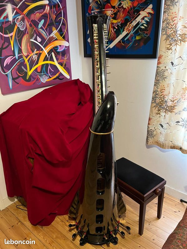 Harpe de concert Salvi Aurora 47 cordes (image 4)