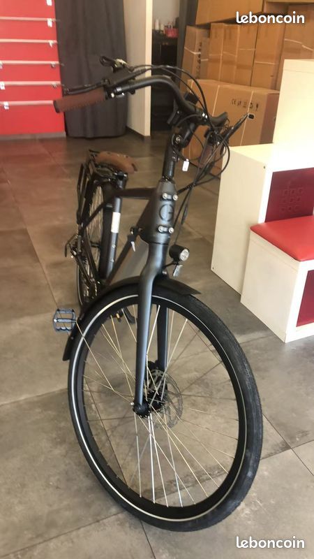 Vélo assistance électrique Jobo Henry 250W 36V 14Ah (image 1)